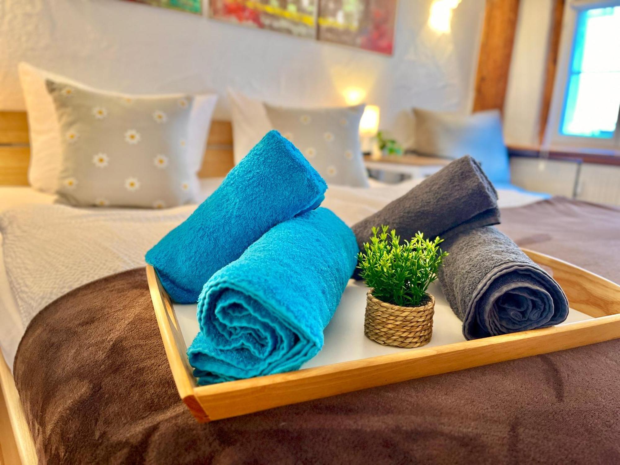 Zentrale Wohlfuehloase Inkl Parkplatz - Zum Blauen Schild Apartment Konstanz Ngoại thất bức ảnh
